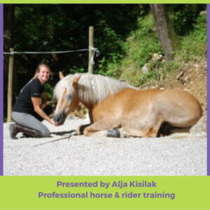 ground work for horses