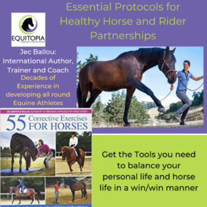 essential horse
